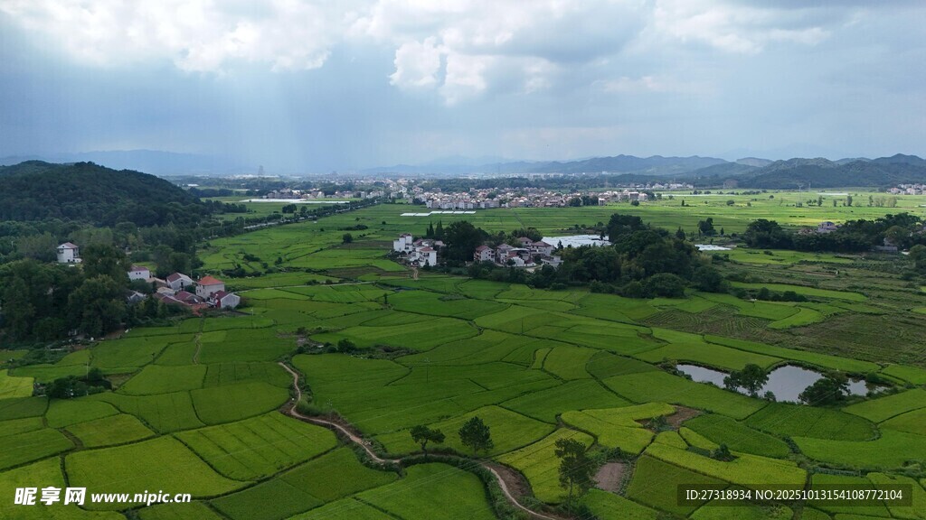 田园绿野风光美景