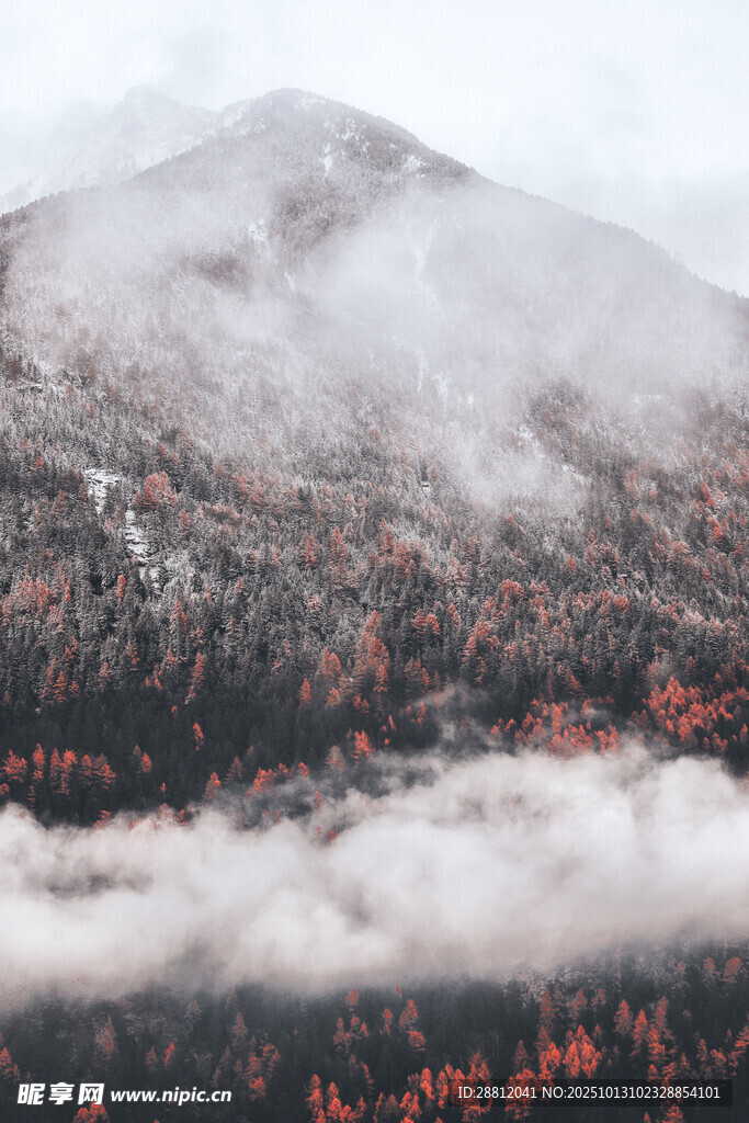 云雾缭绕的多彩山林景观