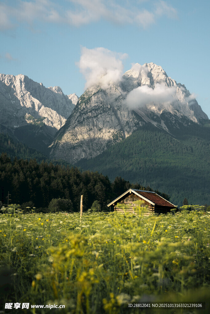 山间小屋旁的绚烂花田