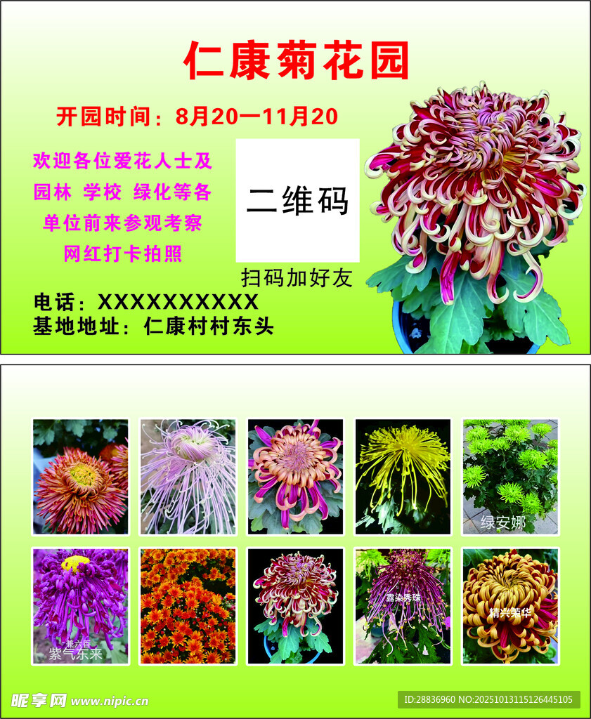 菊花园名片