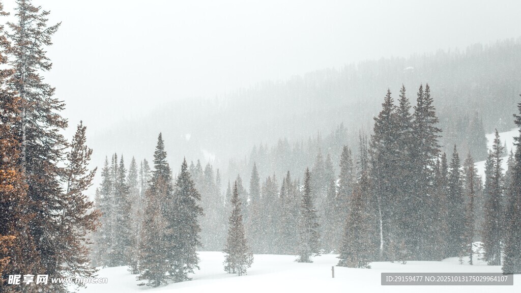 雪覆山林的朦胧冬日景致