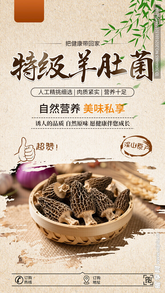 羊肚菌