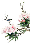 花鸟图