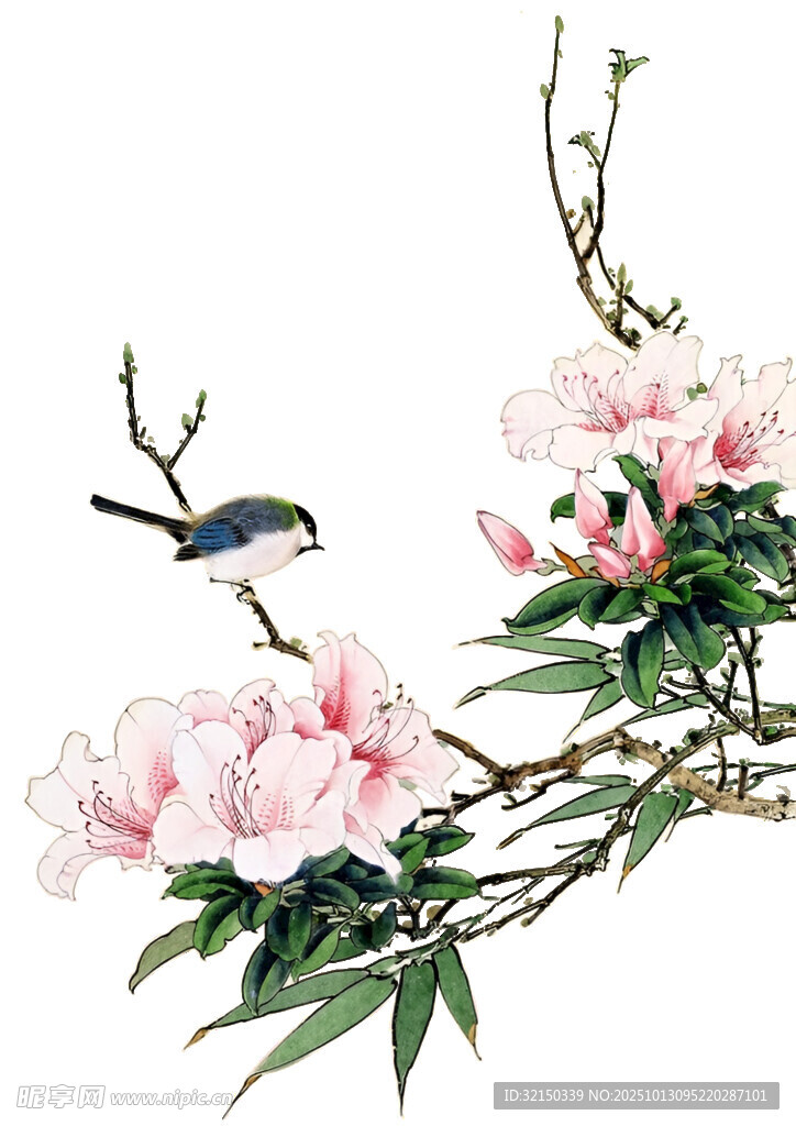 花鸟图