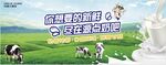 鲜奶