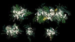 婚礼生日宴白绿色花卉花艺