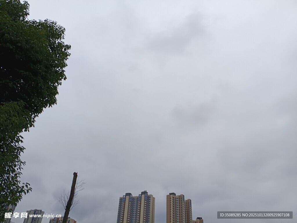 阴天城市高楼与绿树景观