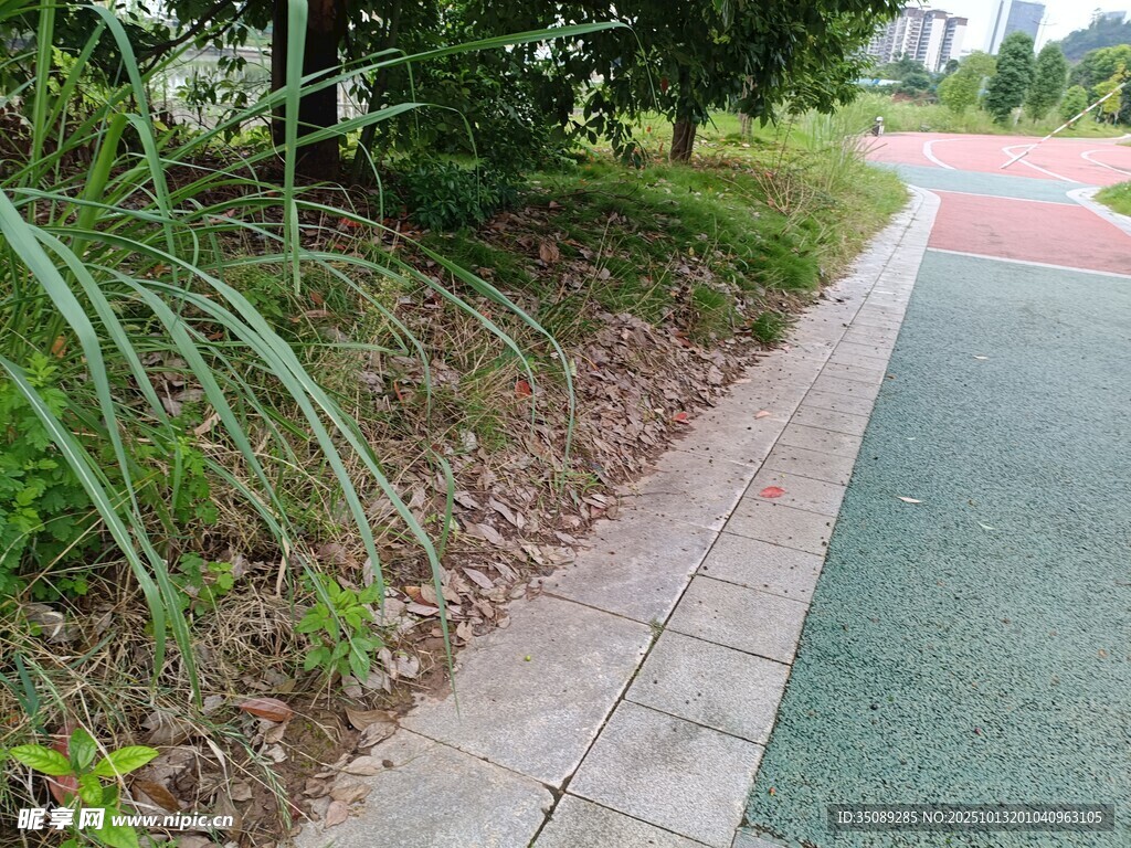 路边绿植与彩色步道景观