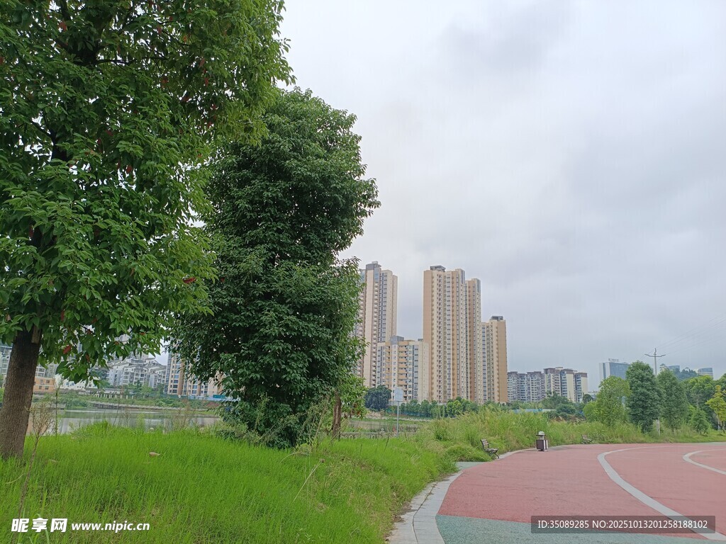 城市公园的绿意跑道