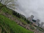 城市边的草地与高楼景观