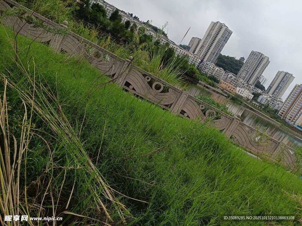 城市边缘的草地与高楼