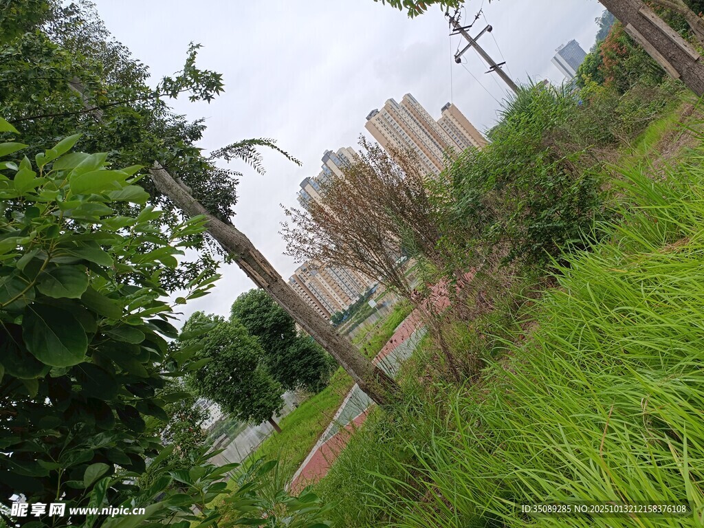户外绿植环绕的建筑景观