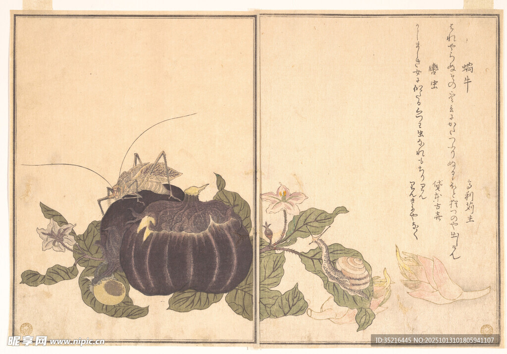日式古画中的南瓜花卉图