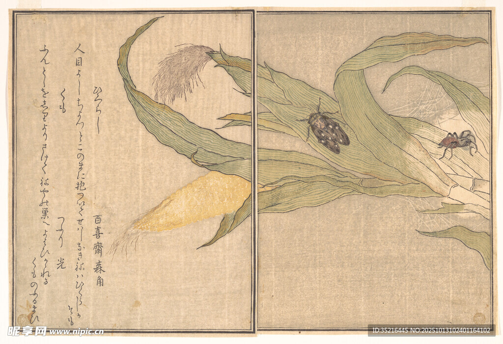 中式花卉绘画艺术作品