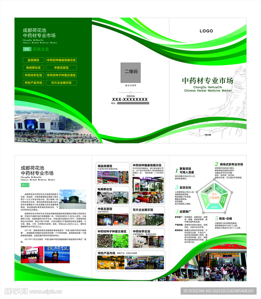 绿色中药材企业招商宣传折页展示