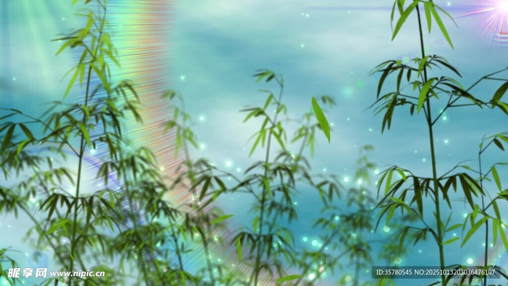 竹子视频素材