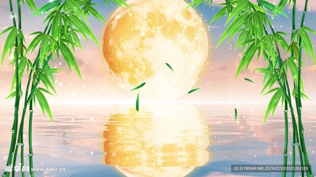竹子视频素材