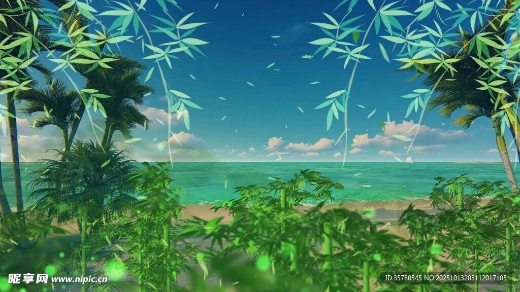 热带海滨绿植风景