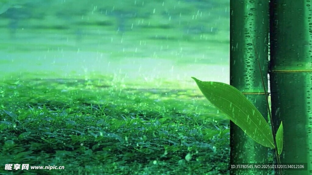 翠绿竹林间的清新景致