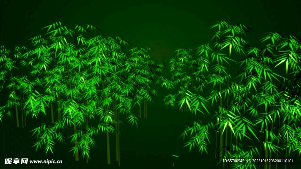 翠绿竹林景观