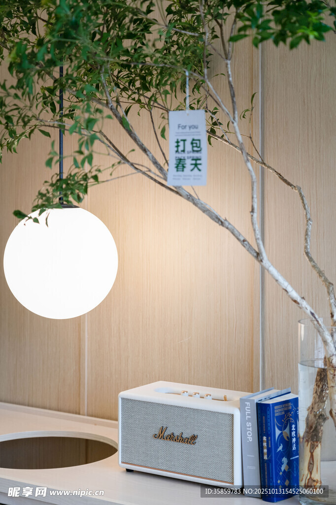 简约室内绿植灯具装饰场景