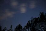 夜空下的树林剪影