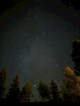 森林之上的璀璨星空