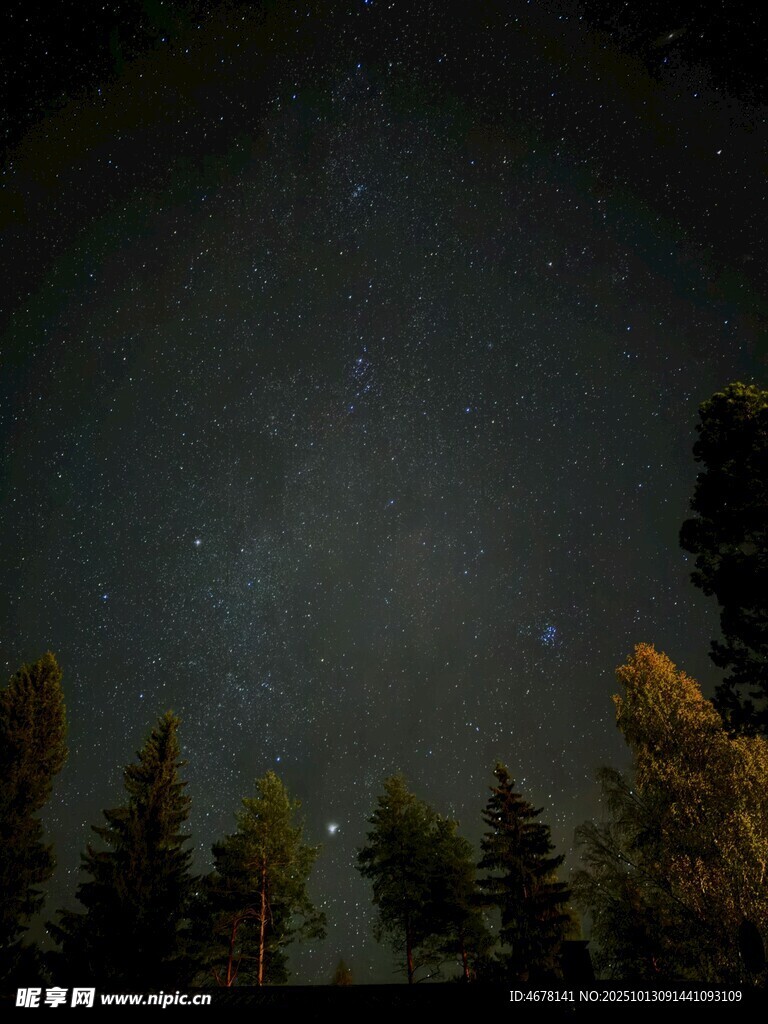 森林之上的璀璨星空