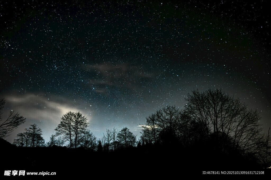 月夜下的森林与璀璨星空