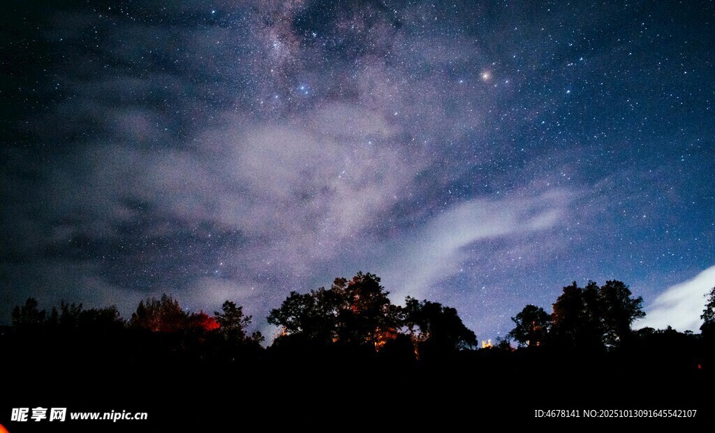 夜空下的树林与绚烂云彩