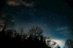 夜空下的树木与璀璨繁星