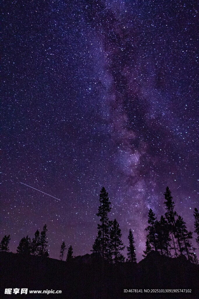 夜空下的森林与璀璨星河