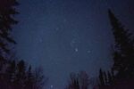 夜空下的森林与闪烁繁星