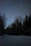 雪夜星空下的静谧森林