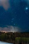 夜空下的森林与璀璨繁星
