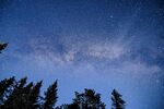夜空下的森林与璀璨星河