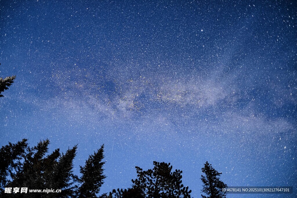 夜空下的森林与璀璨星河