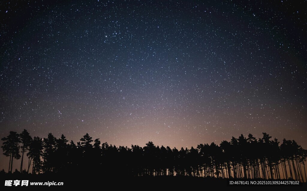 夜幕下的森林与璀璨星空