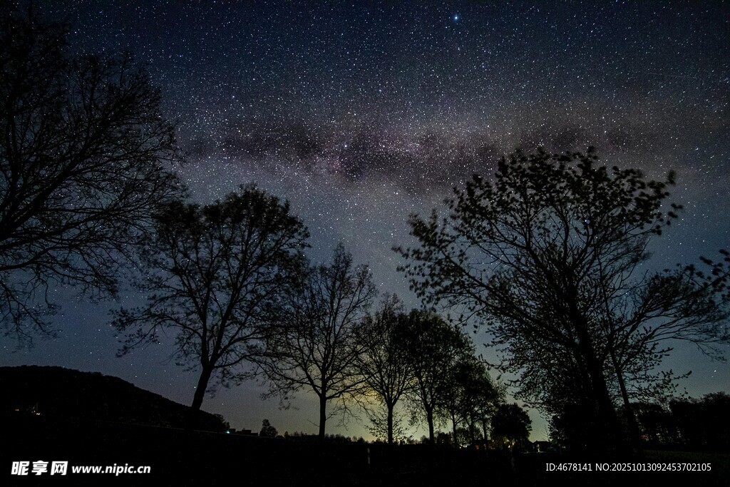 夜空下的树木与璀璨星河