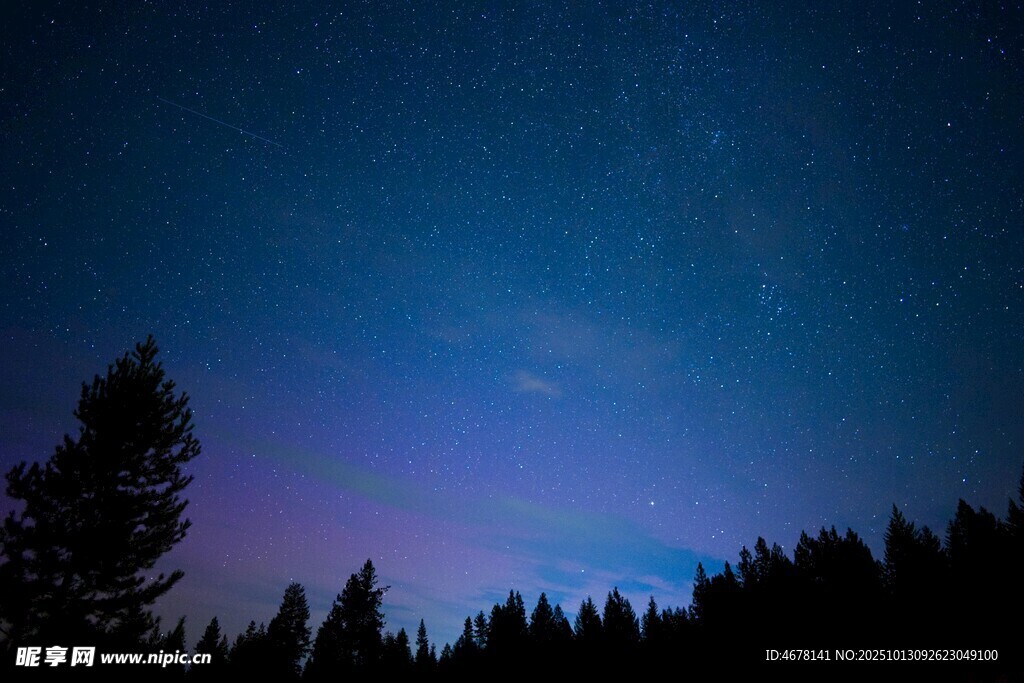夜空下的森林与璀璨星河