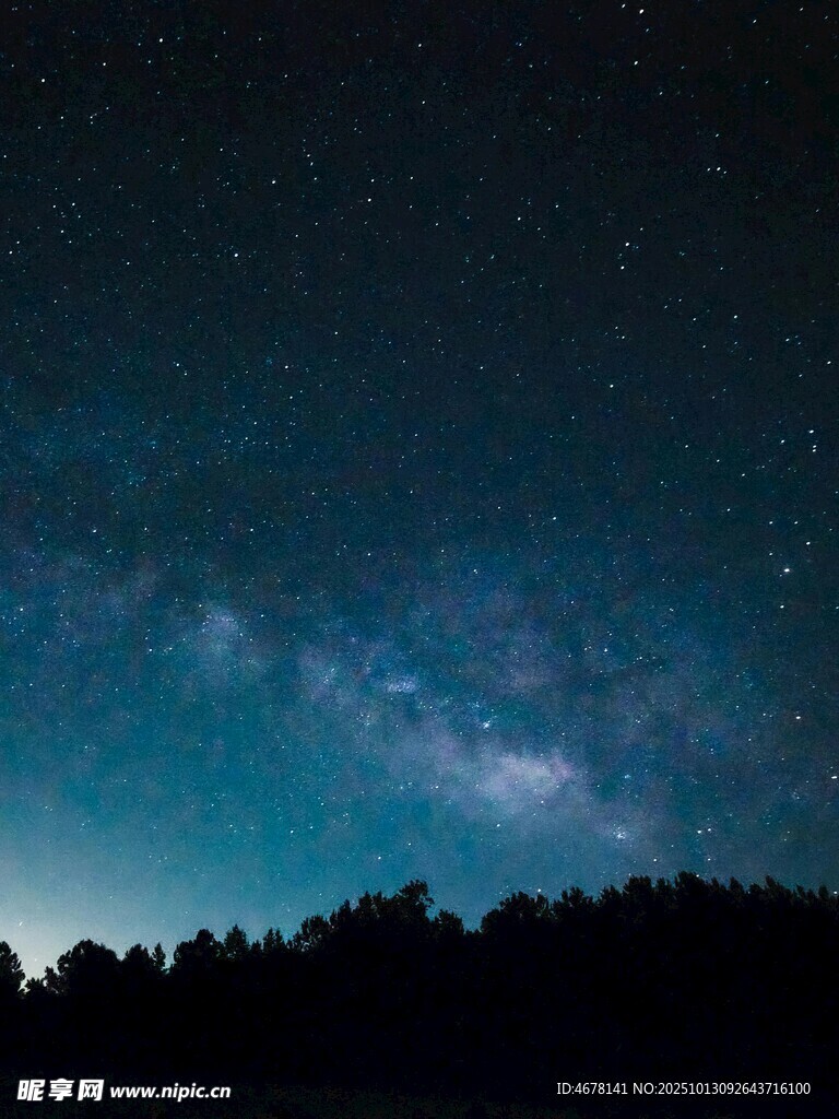 夜空下的森林与璀璨星河