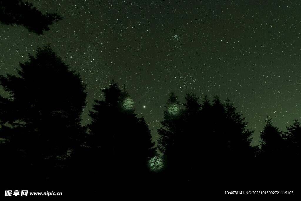 夜空下的森林与闪烁萤火虫