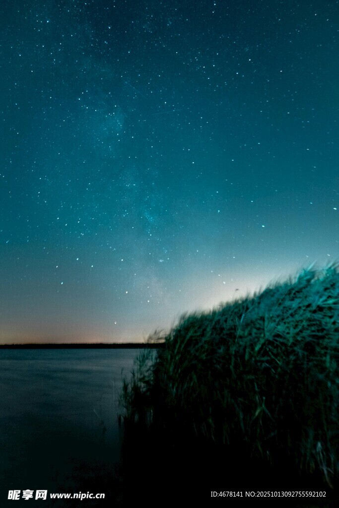 夜空下的湖畔草地美景