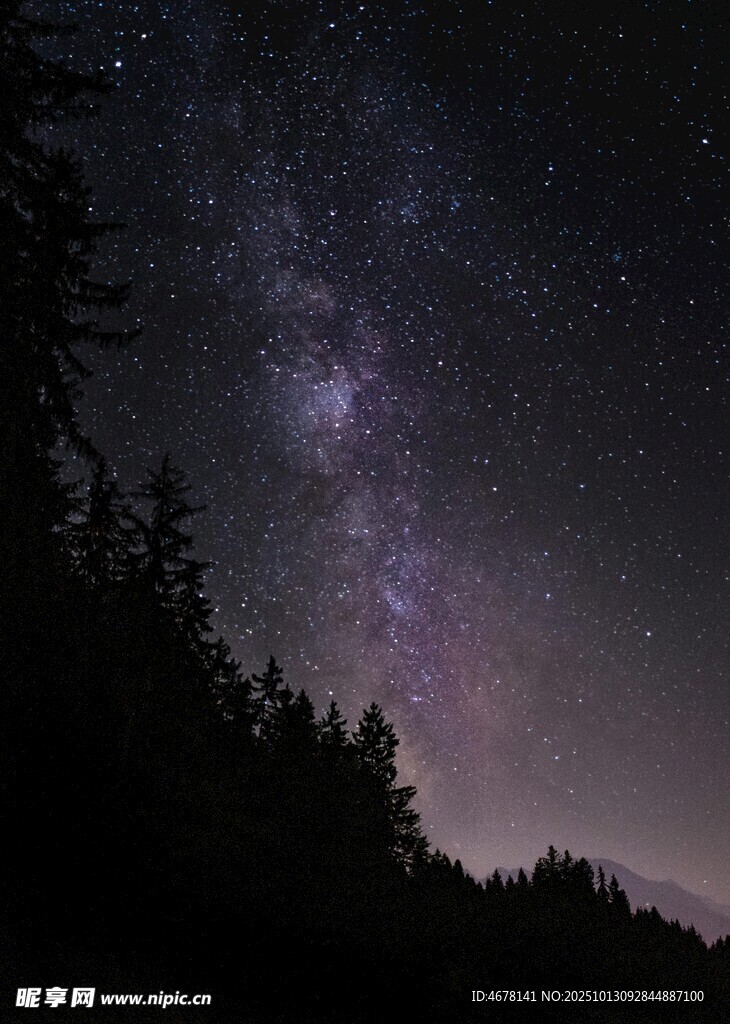 夜空下的森林与璀璨星河