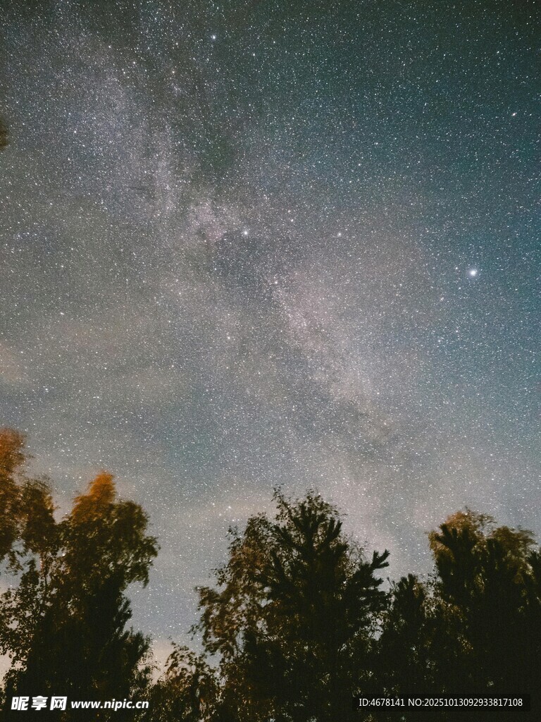 夜空下的树林与璀璨星河