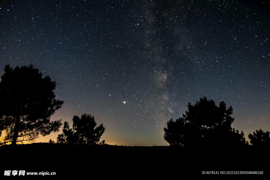 夜幕下的星空与树木