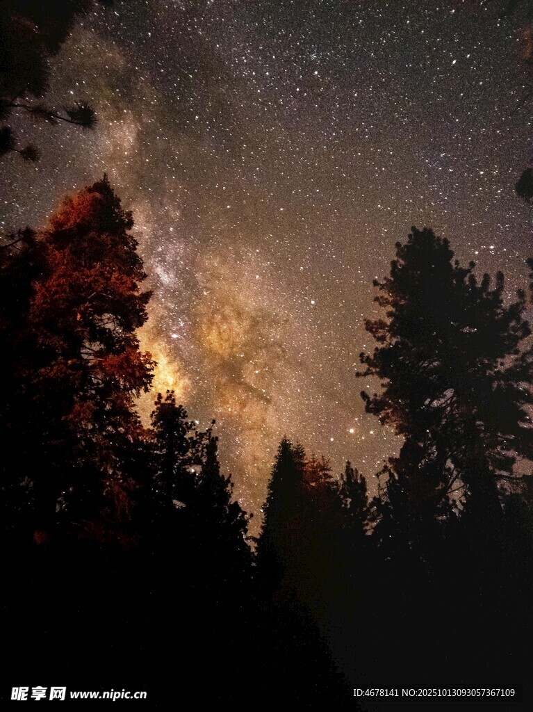 森林上空璀璨的梦幻星空