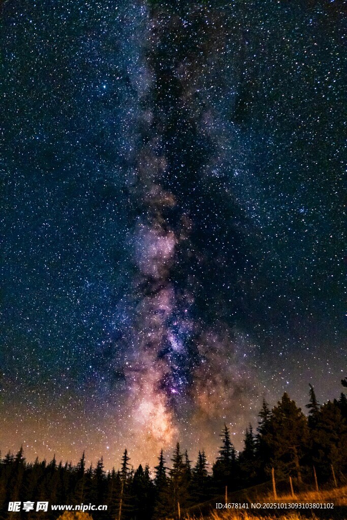 璀璨星空下的森林夜景
