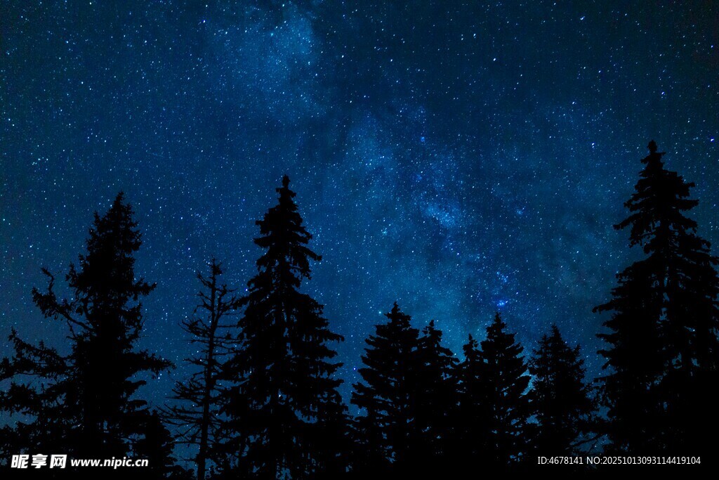 夜空下的森林剪影