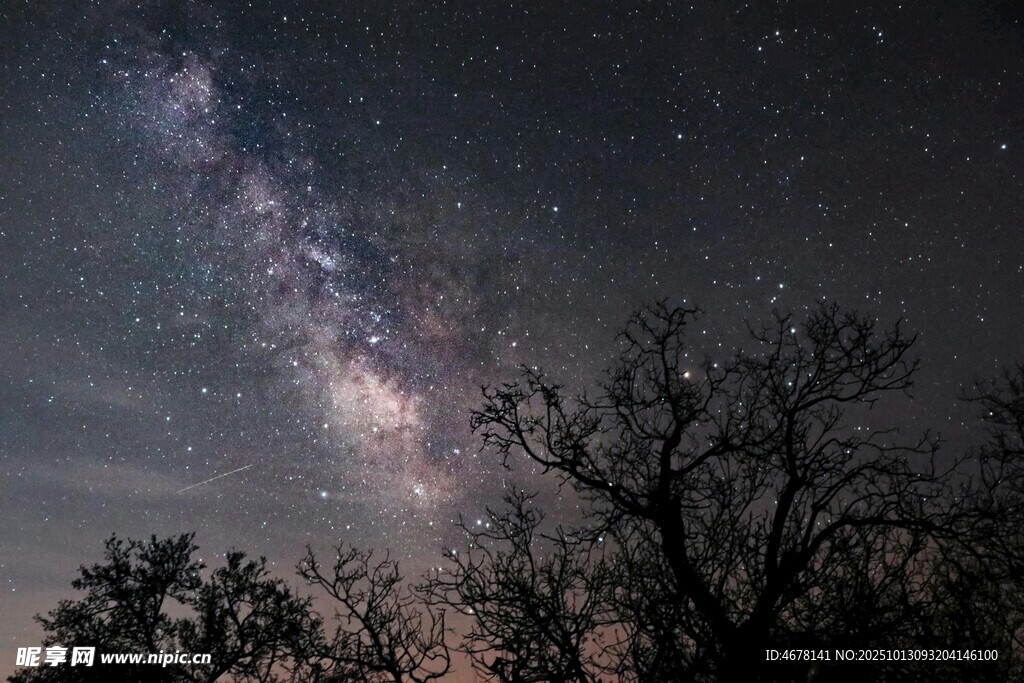 夜空下的星河与树木